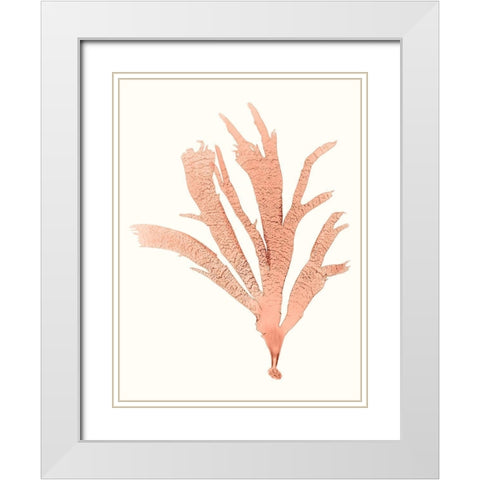 Vivid Coral Seaweed IV White Modern Wood Framed Art Print with Double Matting by Vision Studio