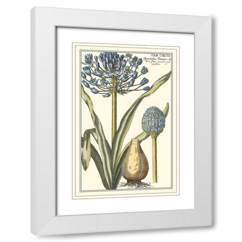 Botanical Beauty II White Modern Wood Framed Art Print with Double Matting by Vision Studio