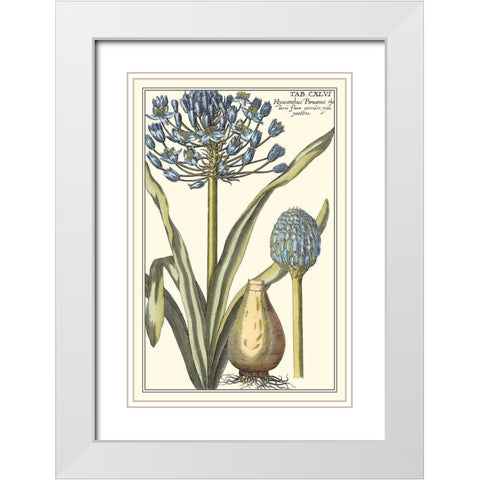 Botanical Beauty II White Modern Wood Framed Art Print with Double Matting by Vision Studio