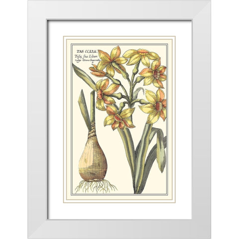Botanical Beauty IV White Modern Wood Framed Art Print with Double Matting by Vision Studio