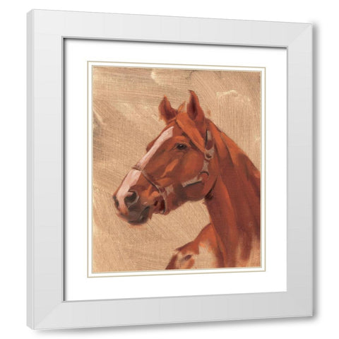Thoroughbred I White Modern Wood Framed Art Print with Double Matting by Green, Jacob