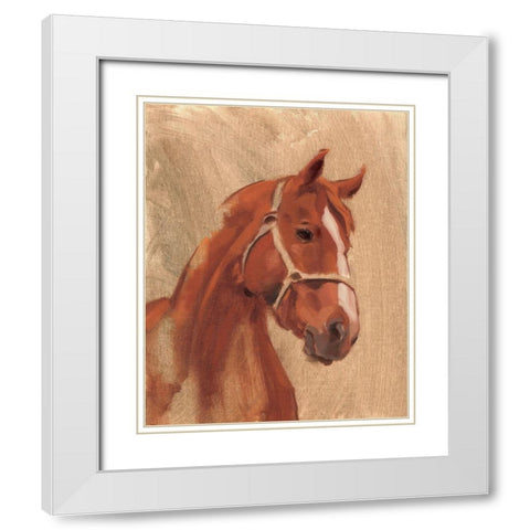 Thoroughbred II White Modern Wood Framed Art Print with Double Matting by Green, Jacob