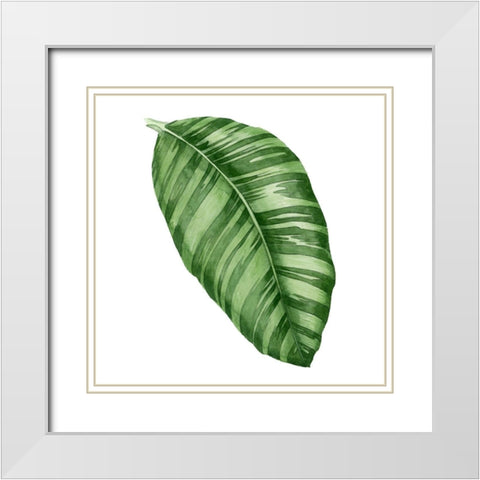 Rainforest Jewel I White Modern Wood Framed Art Print with Double Matting by Popp, Grace