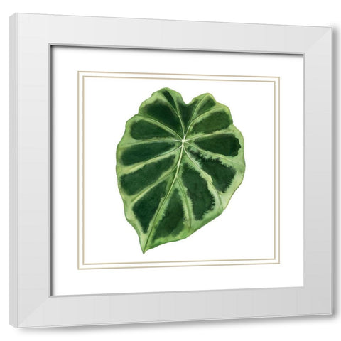 Rainforest Jewel III White Modern Wood Framed Art Print with Double Matting by Popp, Grace