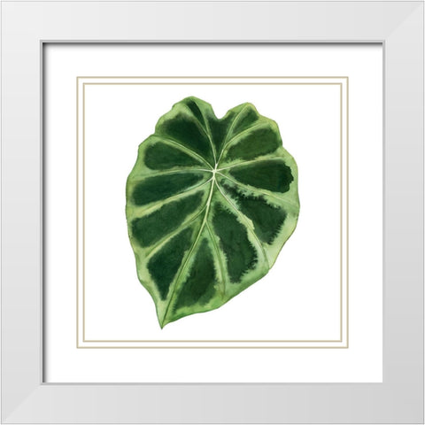 Rainforest Jewel III White Modern Wood Framed Art Print with Double Matting by Popp, Grace