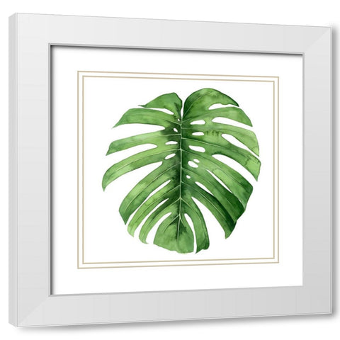 Rainforest Jewel IV White Modern Wood Framed Art Print with Double Matting by Popp, Grace