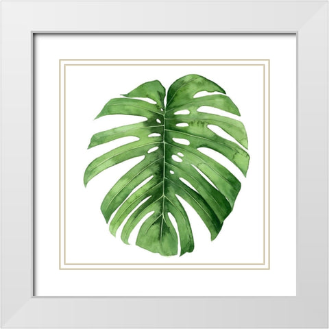 Rainforest Jewel IV White Modern Wood Framed Art Print with Double Matting by Popp, Grace