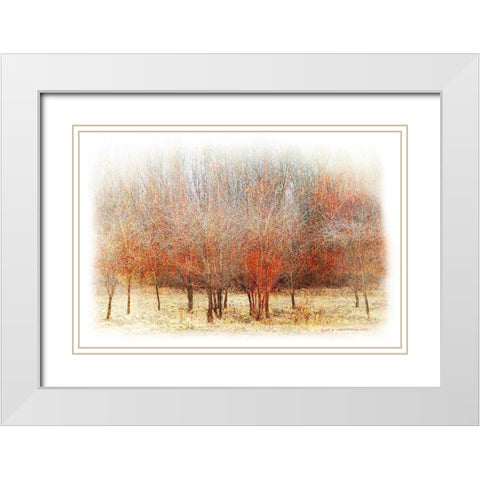 Row of Red Trees White Modern Wood Framed Art Print with Double Matting by Vest, Chris