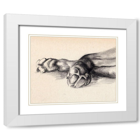 Charcoal Paws I White Modern Wood Framed Art Print with Double Matting by Parker, Jennifer Paxton