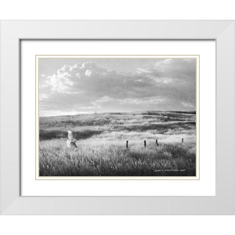 Fence Line Flight I White Modern Wood Framed Art Print with Double Matting by Vest, Chris