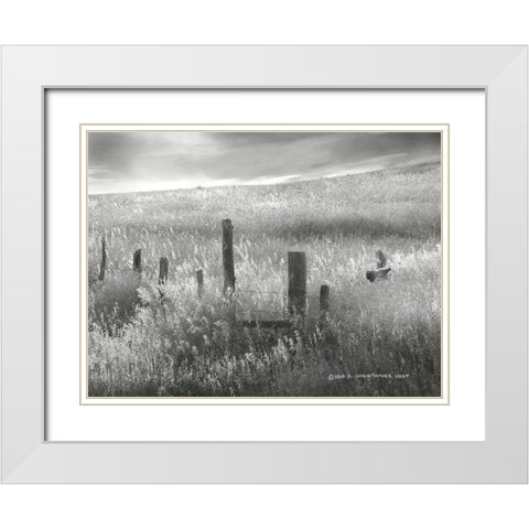 Fence Line Flight II White Modern Wood Framed Art Print with Double Matting by Vest, Chris