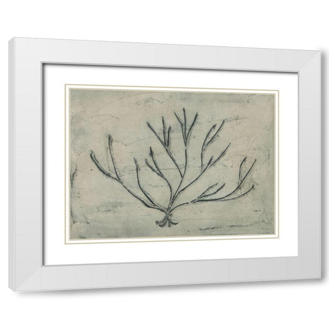 Sea Bevy III White Modern Wood Framed Art Print with Double Matting by Stramel, Renee W.