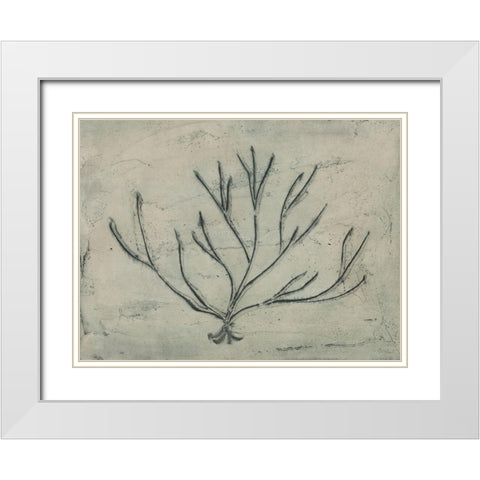 Sea Bevy III White Modern Wood Framed Art Print with Double Matting by Stramel, Renee W.