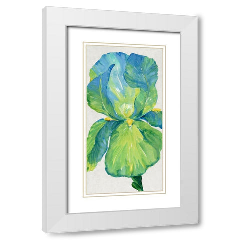 Iris Bloom in Green I White Modern Wood Framed Art Print with Double Matting by OToole, Tim