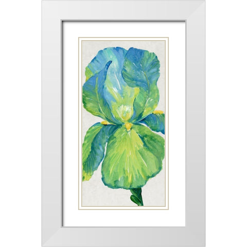 Iris Bloom in Green I White Modern Wood Framed Art Print with Double Matting by OToole, Tim