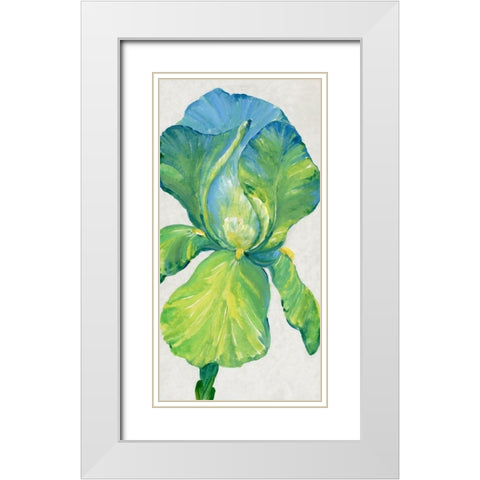 Iris Bloom in Green II White Modern Wood Framed Art Print with Double Matting by OToole, Tim