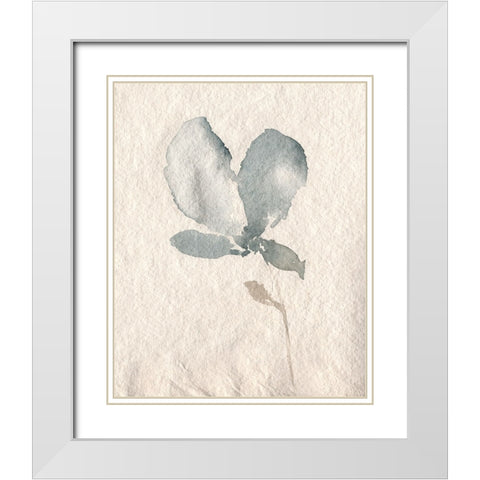 UA Fleur Petite IV White Modern Wood Framed Art Print with Double Matting by Goldberger, Jennifer