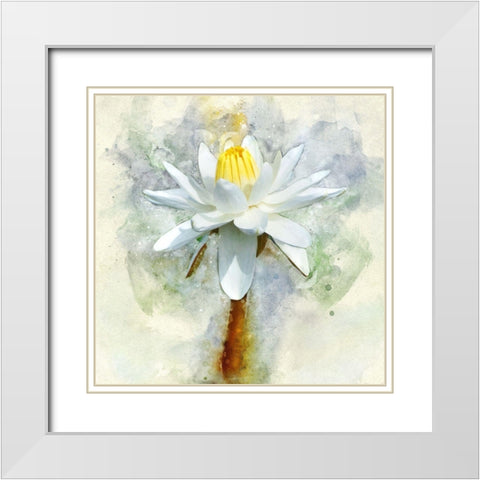 Pretty in Pastel II White Modern Wood Framed Art Print with Double Matting by Robertson, Leda