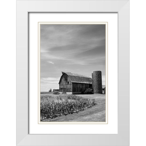 Farm Serenity II White Modern Wood Framed Art Print with Double Matting by Robertson, Leda