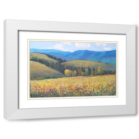 Mountain Pass I White Modern Wood Framed Art Print with Double Matting by OToole, Tim