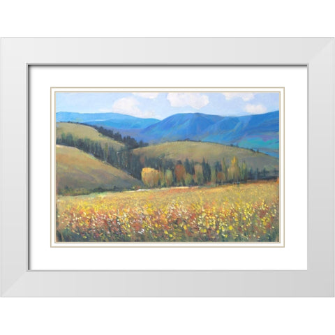 Mountain Pass I White Modern Wood Framed Art Print with Double Matting by OToole, Tim