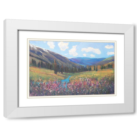 Mountain Pass II White Modern Wood Framed Art Print with Double Matting by OToole, Tim