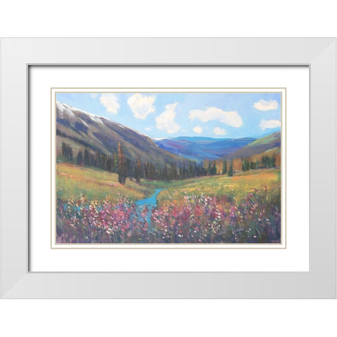 Mountain Pass II White Modern Wood Framed Art Print with Double Matting by OToole, Tim