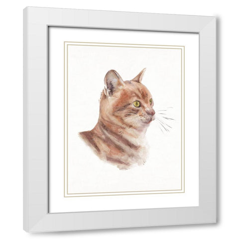 Orange Cat I White Modern Wood Framed Art Print with Double Matting by Wang, Melissa