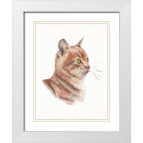 Orange Cat I White Modern Wood Framed Art Print with Double Matting by Wang, Melissa