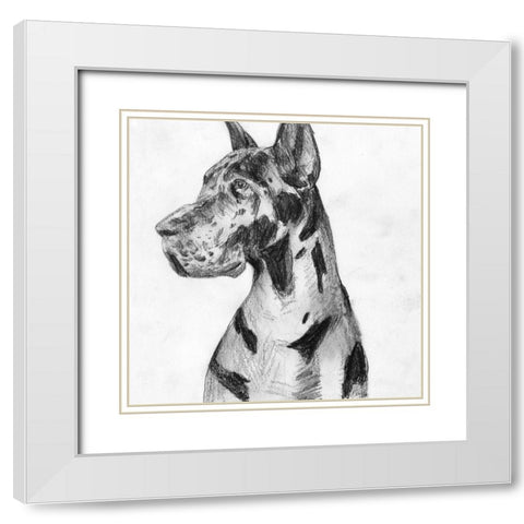 Great Dane Portrait I White Modern Wood Framed Art Print with Double Matting by Wang, Melissa