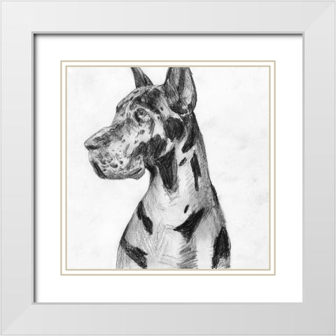 Great Dane Portrait I White Modern Wood Framed Art Print with Double Matting by Wang, Melissa