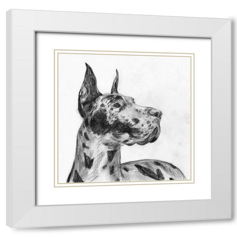 Great Dane Portrait II White Modern Wood Framed Art Print with Double Matting by Wang, Melissa