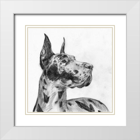 Great Dane Portrait II White Modern Wood Framed Art Print with Double Matting by Wang, Melissa