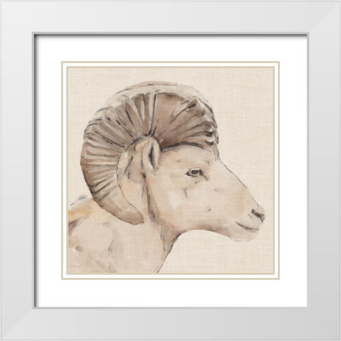 Bighorn Profile II White Modern Wood Framed Art Print with Double Matting by Warren, Annie