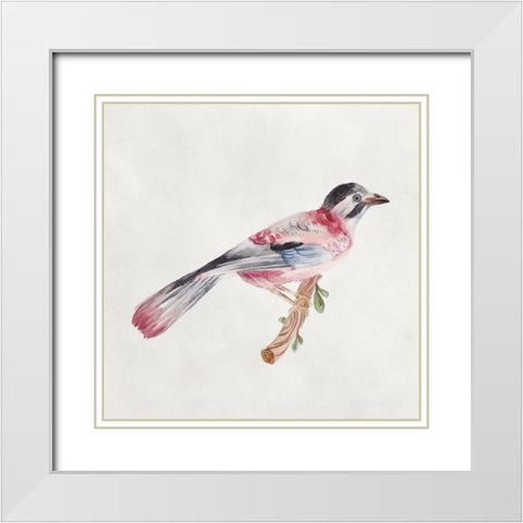 Bird Sketch I White Modern Wood Framed Art Print with Double Matting by Wang, Melissa