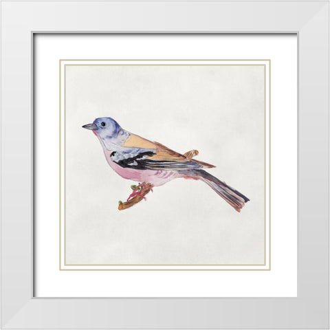 Bird Sketch II White Modern Wood Framed Art Print with Double Matting by Wang, Melissa