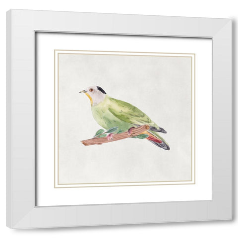 Bird Sketch III White Modern Wood Framed Art Print with Double Matting by Wang, Melissa