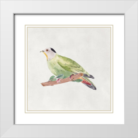 Bird Sketch III White Modern Wood Framed Art Print with Double Matting by Wang, Melissa