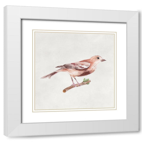 Bird Sketch IV White Modern Wood Framed Art Print with Double Matting by Wang, Melissa