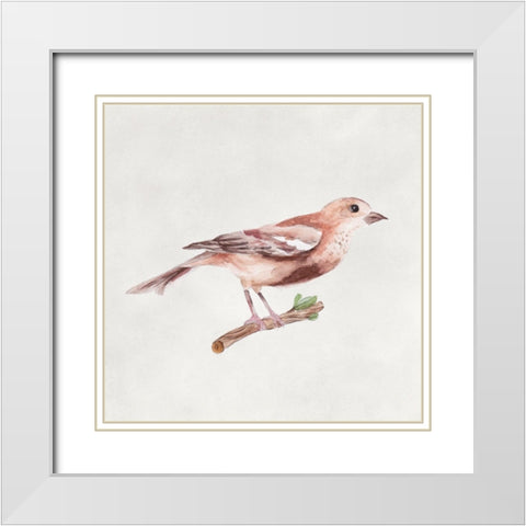 Bird Sketch IV White Modern Wood Framed Art Print with Double Matting by Wang, Melissa