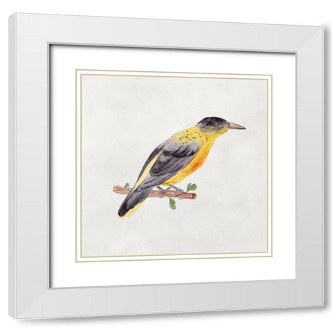 Bird Sketch VI White Modern Wood Framed Art Print with Double Matting by Wang, Melissa