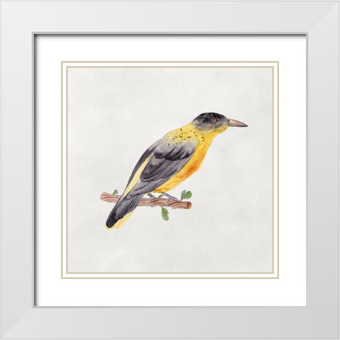 Bird Sketch VI White Modern Wood Framed Art Print with Double Matting by Wang, Melissa