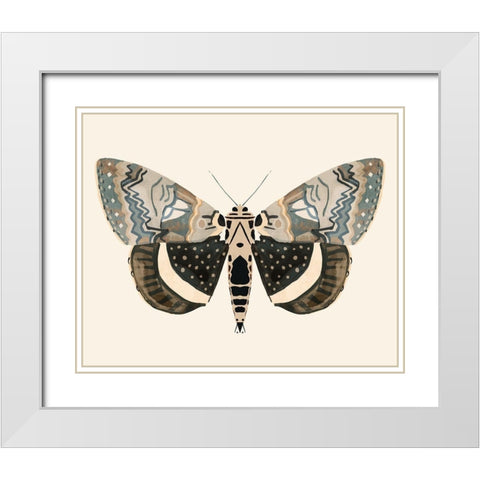 Neutral Moth I White Modern Wood Framed Art Print with Double Matting by Barnes, Victoria