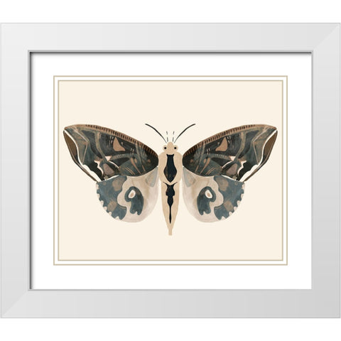 Neutral Moth II White Modern Wood Framed Art Print with Double Matting by Barnes, Victoria