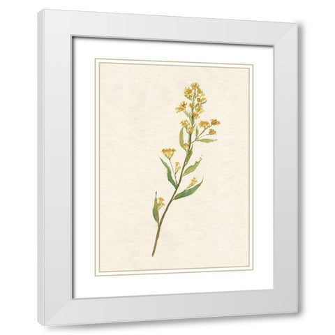 Delicate Yellow I White Modern Wood Framed Art Print with Double Matting by Goldberger, Jennifer