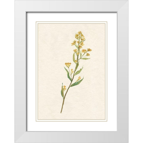 Delicate Yellow I White Modern Wood Framed Art Print with Double Matting by Goldberger, Jennifer