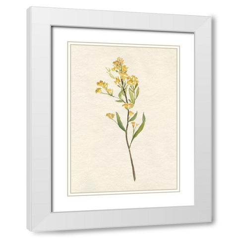 Delicate Yellow II White Modern Wood Framed Art Print with Double Matting by Goldberger, Jennifer