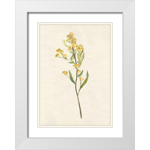 Delicate Yellow II White Modern Wood Framed Art Print with Double Matting by Goldberger, Jennifer