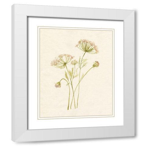 Blush Lace I White Modern Wood Framed Art Print with Double Matting by Goldberger, Jennifer