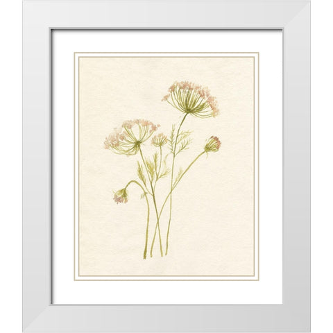 Blush Lace I White Modern Wood Framed Art Print with Double Matting by Goldberger, Jennifer